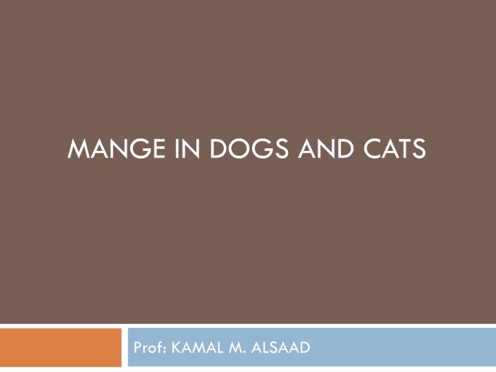 mange in dogs and cats n.w