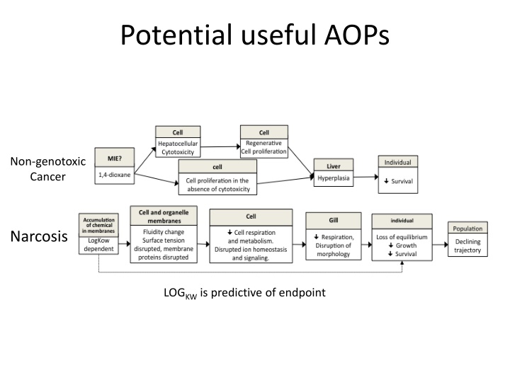potential useful aops n.w