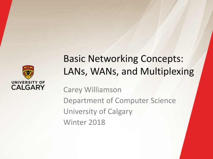 basic networking concepts lans wans n.w