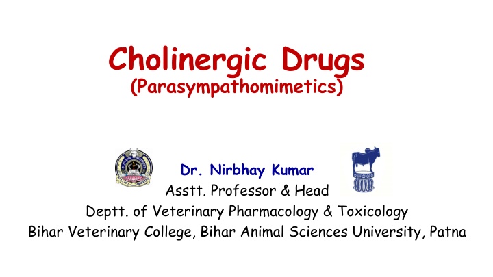 cholinergic drugs parasympathomimetics n.w