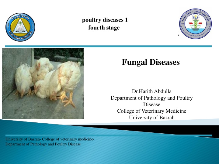 poultry diseases 1 fourth stage n.w