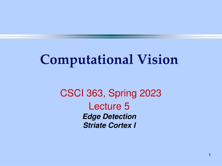 computational vision n.w