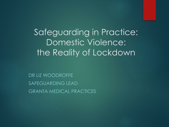 safeguarding in practice domestic violence n.w