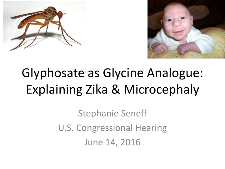 glyphosate as glycine analogue explaining zika n.w