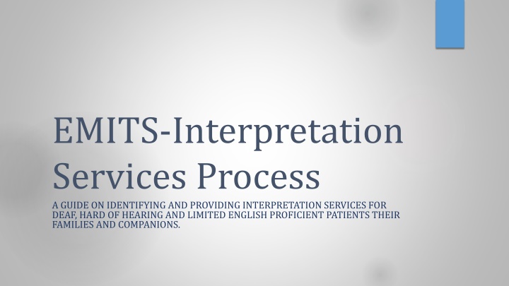 emits interpretation services process a guide n.w