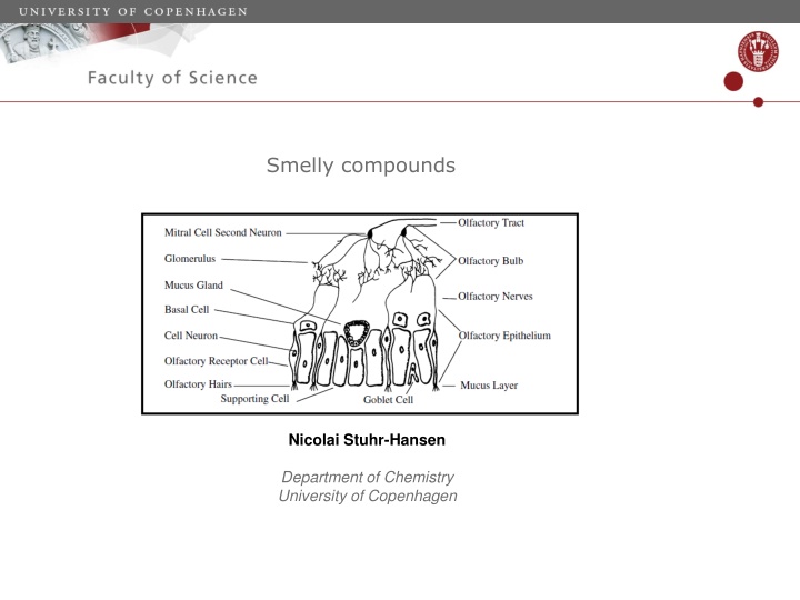 smelly compounds n.w