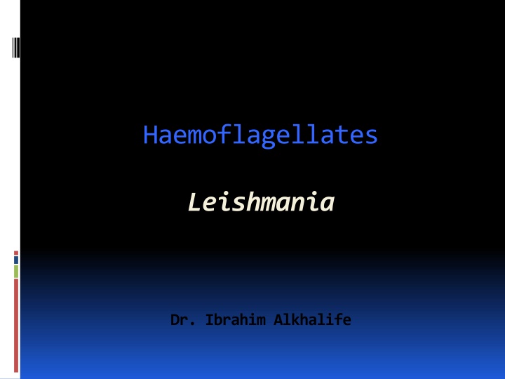 haemoflagellates n.w