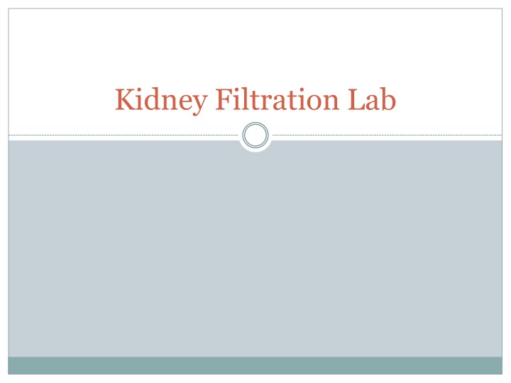 kidney filtration lab n.w