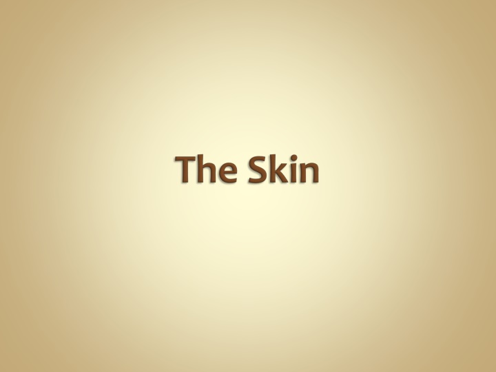 slide1 n.w
