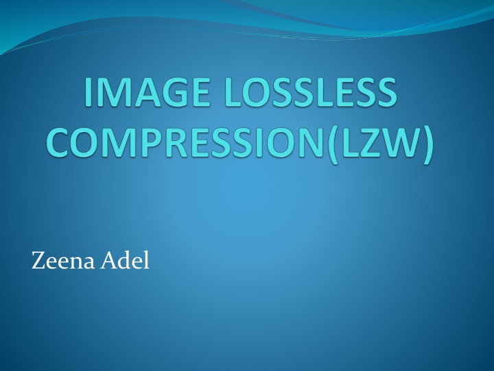 zeena adel n.w