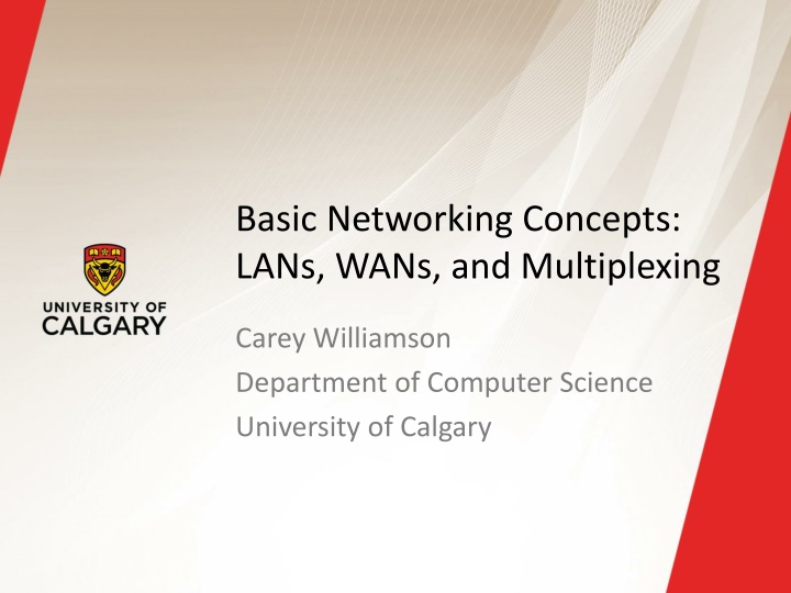 basic networking concepts lans wans n.w