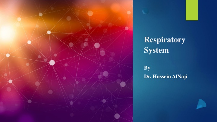 respiratory system n.w