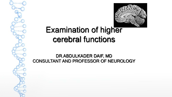 Examination of Higher Cerebral Functions by Dr. Abdulkader Daif, MD
