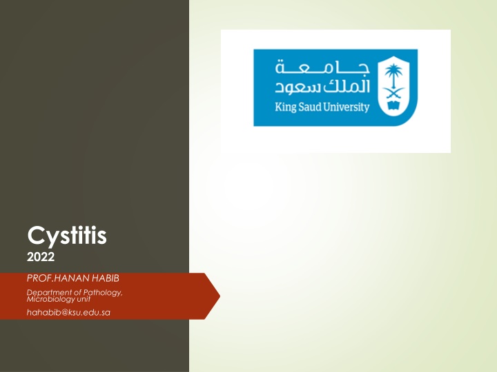 cystitis 2022 n.w