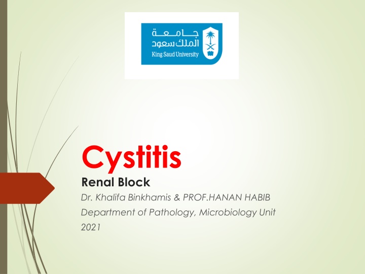 cystitis renal block dr khalifa binkhamis prof n.w