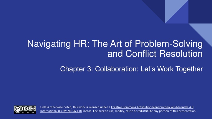 navigating hr the art of problem solving n.w