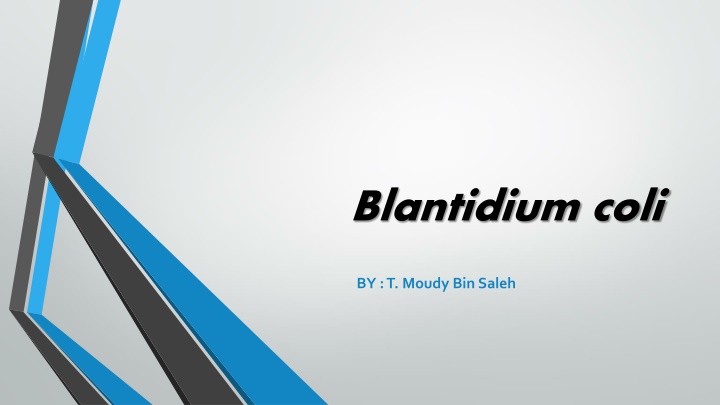 blantidium coli n.w
