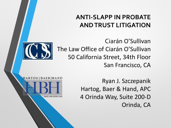 anti slapp in probate and trust litigation n.w