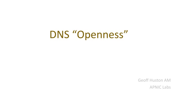 dns openness n.w