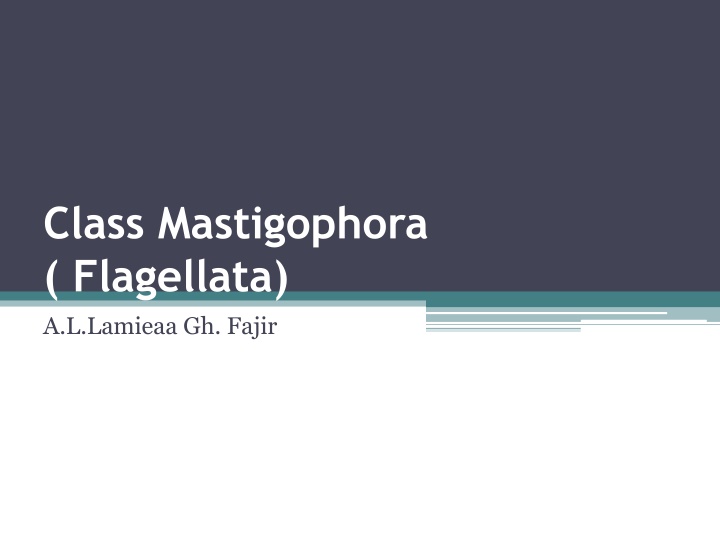 class mastigophora flagellata a l lamieaa gh fajir n.w
