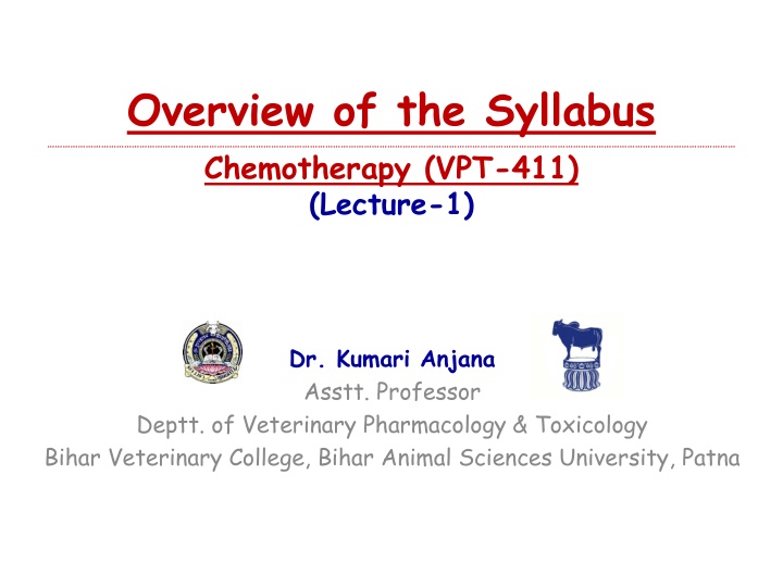 overview of the syllabus chemotherapy n.w