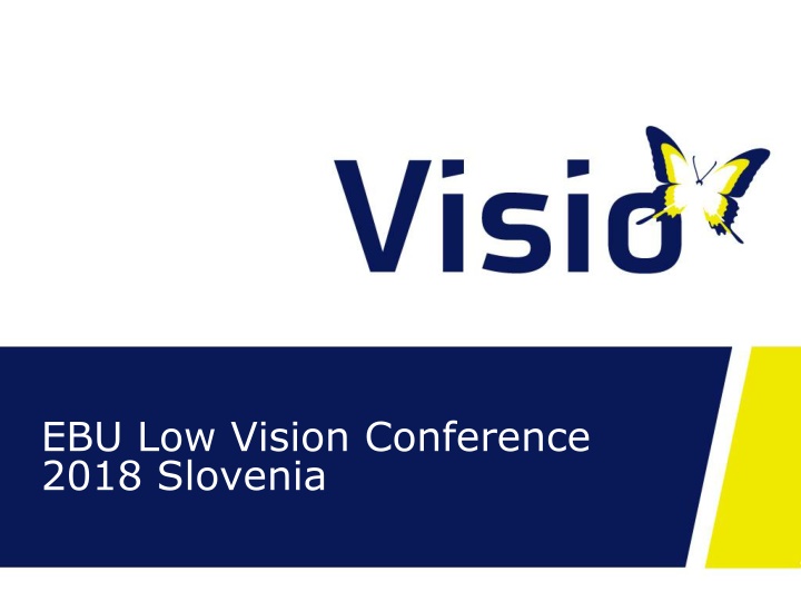 ebu low vision conference 2018 slovenia n.w