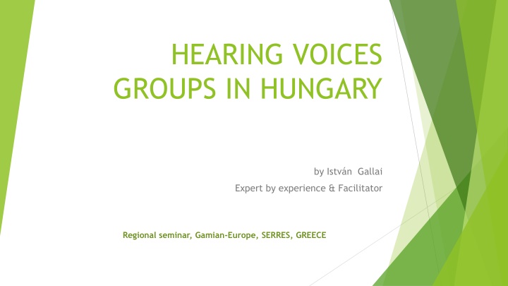 hearing voices groups in hungary n.w