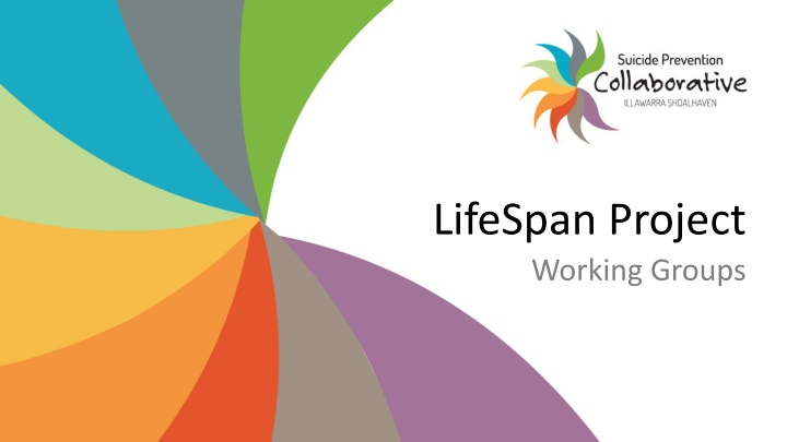 lifespan project working groups n.w