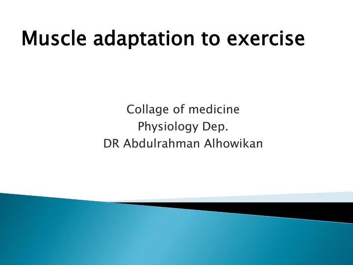 muscle adaptation to exercise n.w
