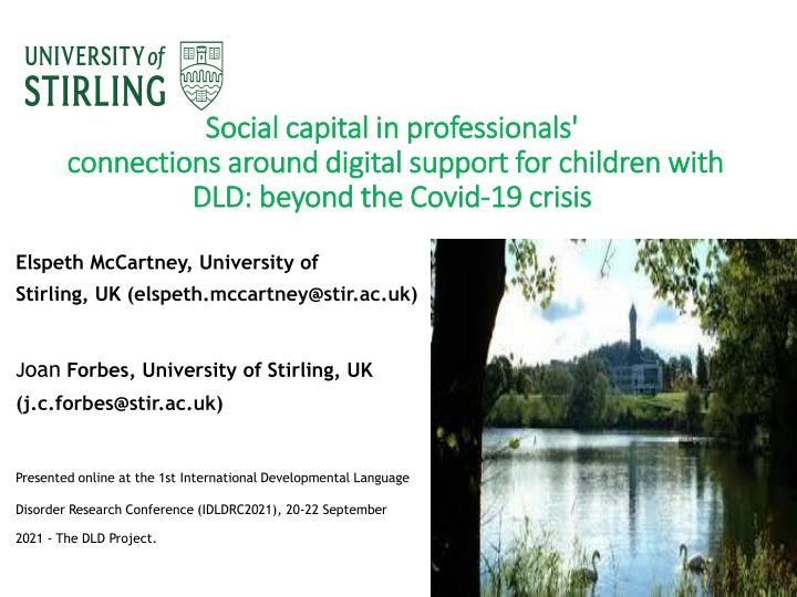 social social capital capital in in professionals n.w