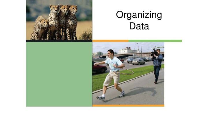 organizing data n.w