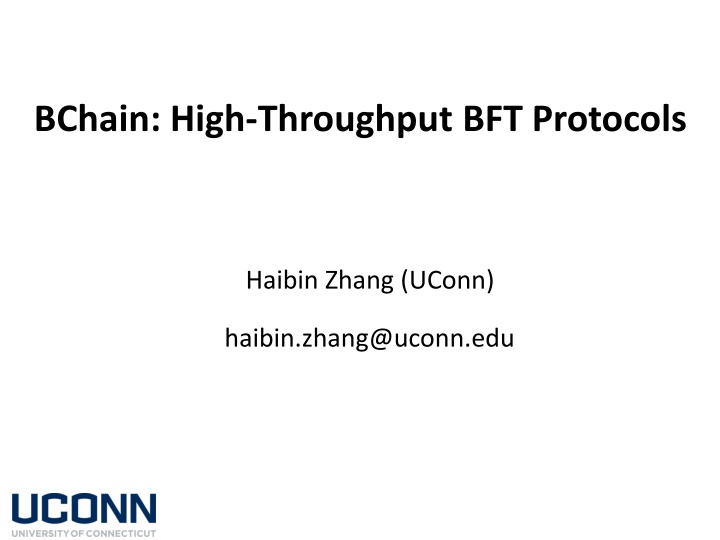bchain high throughput bft protocols n.w