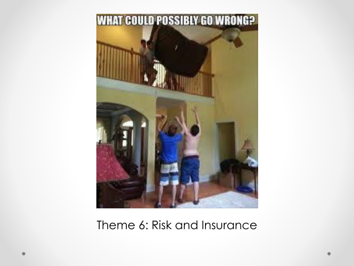 theme 6 risk and insurance n.w