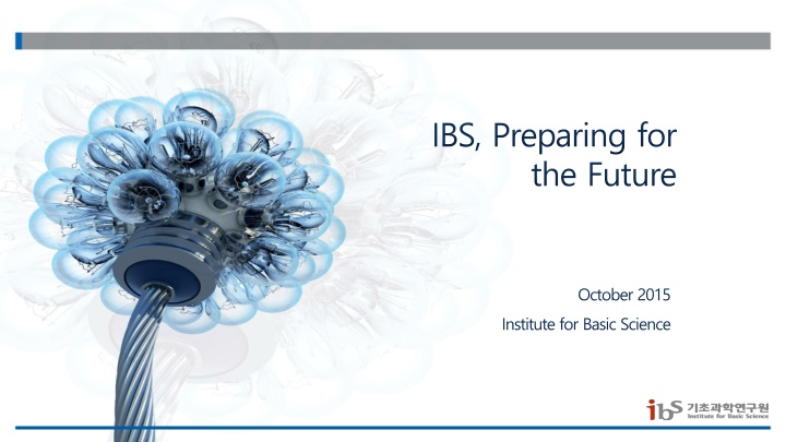 ibs preparing for the future n.w