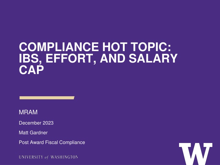 IBS Compliance and Salary Cap Overview