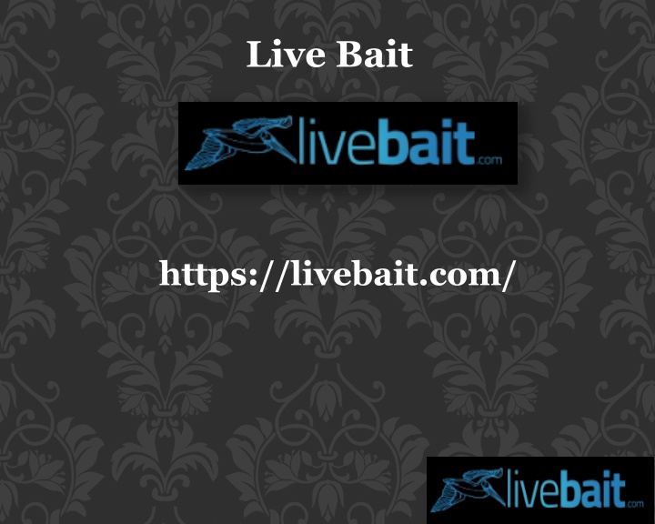 Cast Fishing Nets, livebait