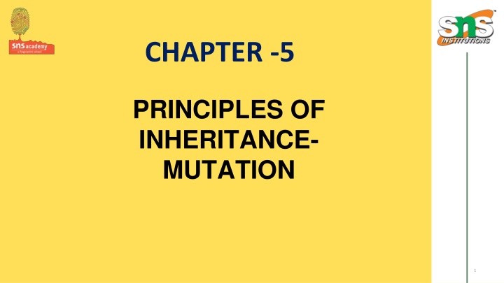 chapter 5 n.w