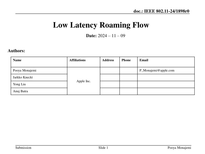 doc ieee 802 11 24 1898r0 n.w