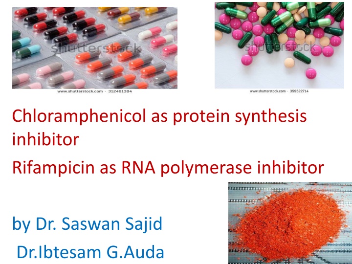 chloramphenicol as protein synthesis inhibitor n.w