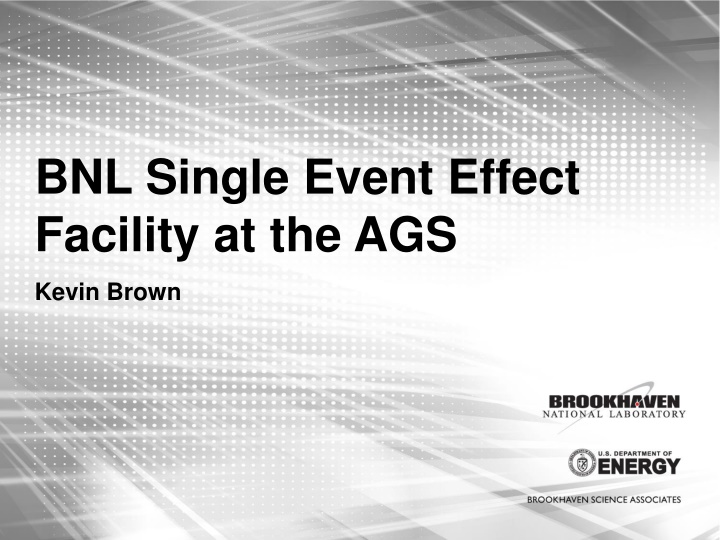 bnl single event effect facility at the ags n.w