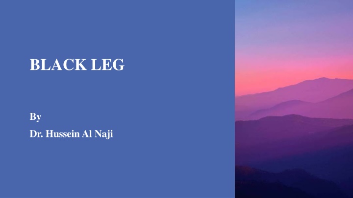 black leg n.w