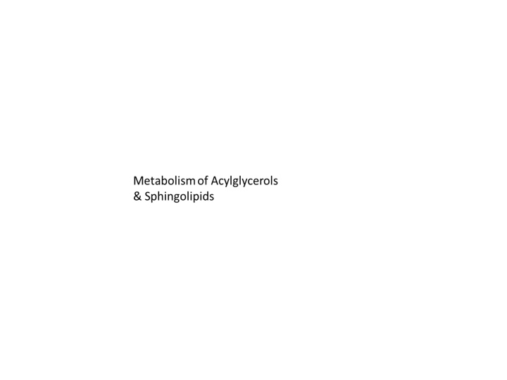 slide1 n.w