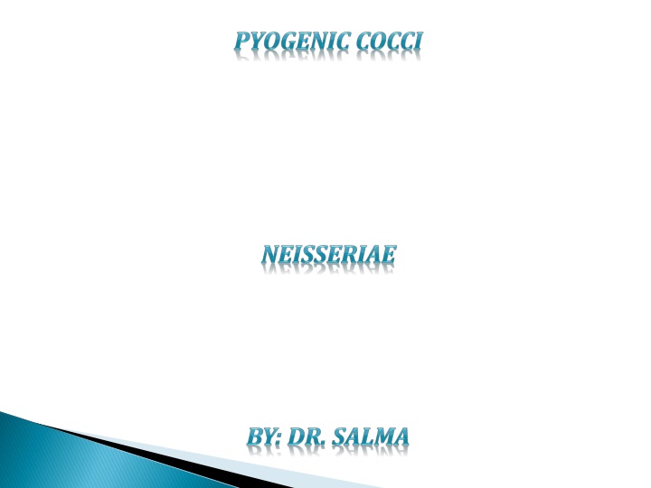 slide1 n.w