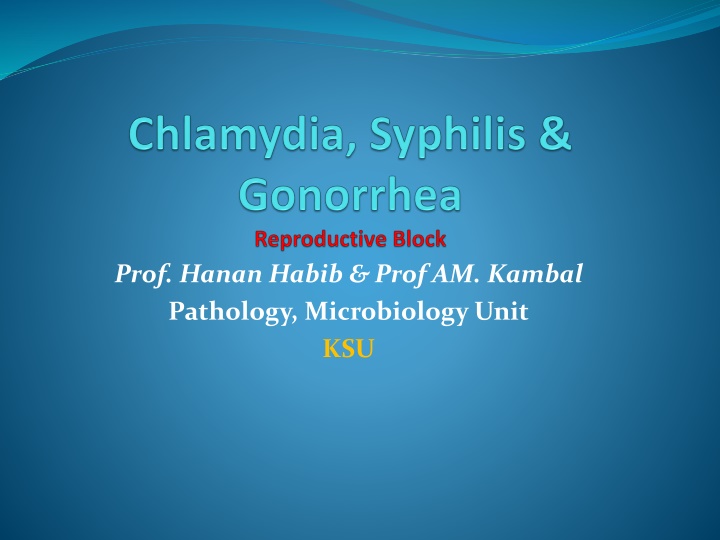 prof hanan habib prof am kambal pathology n.w