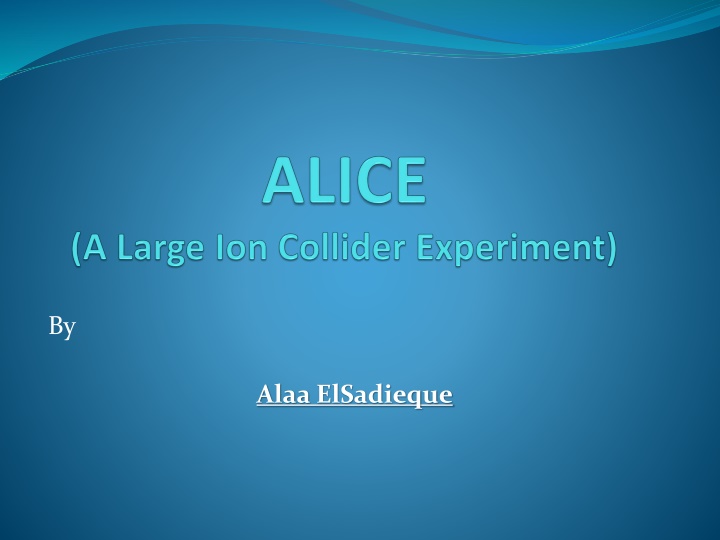 slide1 n.w