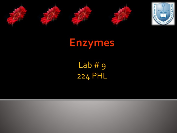 lab 9 224 phl n.w