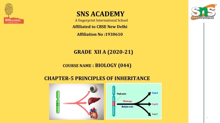 sns academy a fingerprint international school n.w