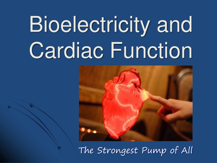 bioelectricity and cardiac function n.w