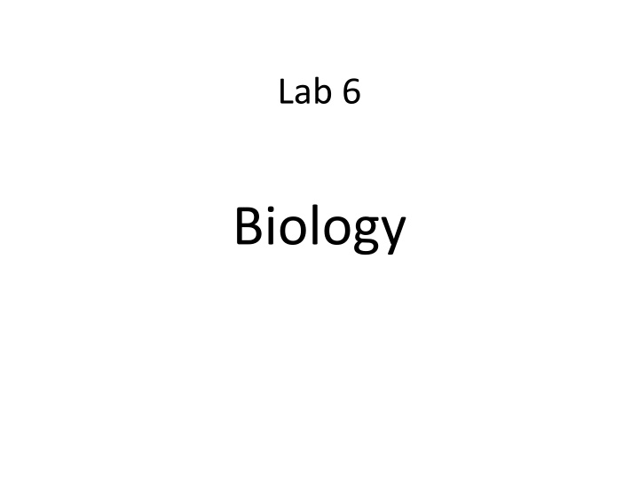 lab 6 n.w