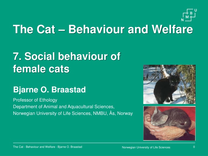 the cat behaviour and welfare n.w